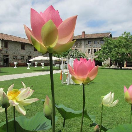Agriturismo Il Vagabondo Buttrio Екстериор снимка