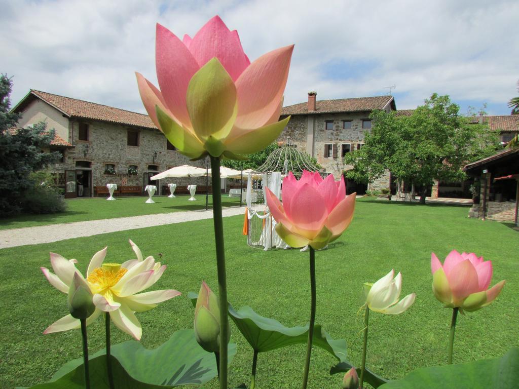 Agriturismo Il Vagabondo Buttrio Екстериор снимка